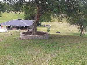 RELAX La Tuquita Raco