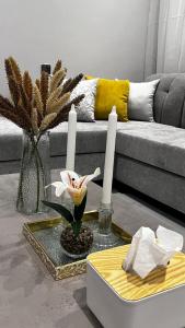 شقة أصايل سعد