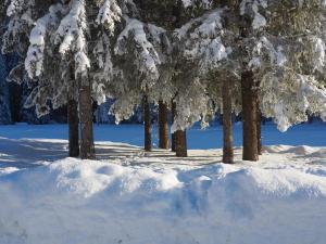 Appartamenti Residence Rodolon