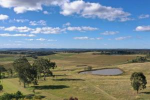 Millas Vineyard Estate