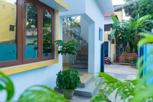 Photo of Paradise Palmtr