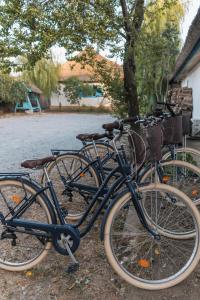 5 Chirpici - Small Traditional Resort