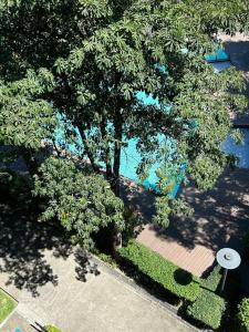 Modern Oasis: Pool + Netflix