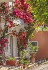 Limani Suite