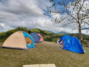 Glamping, Camping, or Tent Stay at Humming Farm