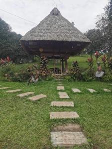 Glamping, Camping, or Tent Stay at Humming Farm