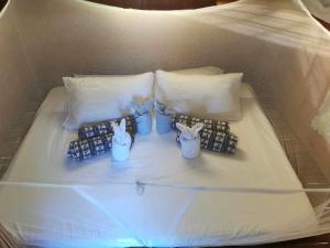 Glamping, Camping, or Tent Stay at Humming Farm