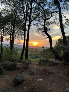 Prakriti Aalay - Riverside Mountain View Boutique Eco Resort