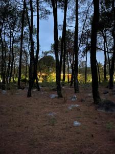 Prakriti Aalay - Riverside Mountain View Boutique Eco Resort