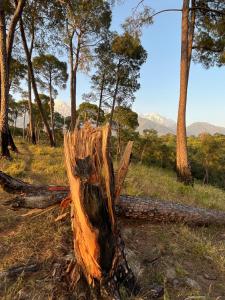 Prakriti Aalay - Riverside Mountain View Boutique Eco Resort