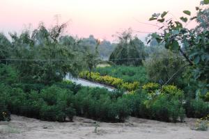 Lohana Village Resort