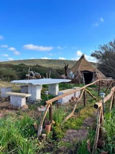 Agriturismo Graziano e Barbara img88