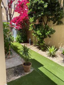 Villa Del Mar Bord de mer Palm Beach Cannes