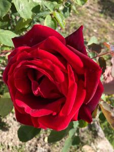 Lispusada Agriturismo Adults Only img45