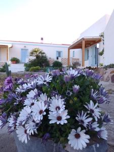 Lispusada Agriturismo Adults Only img60