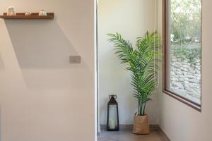 The Lai Tiny House - Villa at Mae Kampong