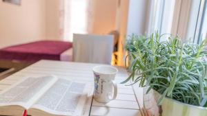 Betanija & Arijana BayView Studio Apartments