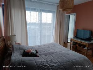 Villas Les Palmiers : photos des chambres