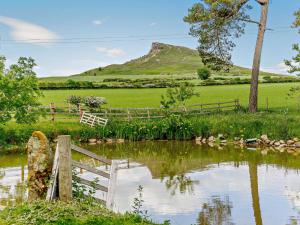 3 Bed in Great Ayton 83328