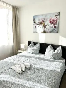 City Appartement Küche,Bad, Parken im Zentrum von Ravensburg - 沃尔夫埃格