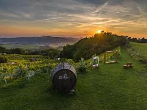 Apartament w Winiarni - Łysa Góra