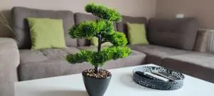 Marianna Apartman Kaposvár - Hangyásmál