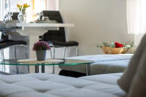 Sunny apartment Eni