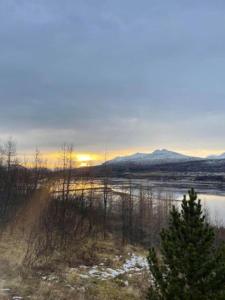 Cozy 2 bedroom cottage with hot tub