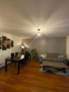 Rez de jardin - JO 2024 - 布雷西尔