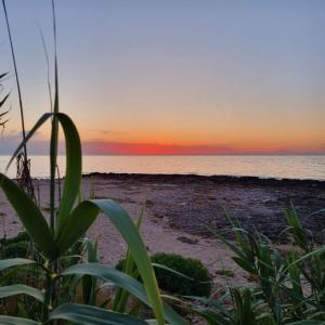 Di Mari e dAmuri Casa Vacanza