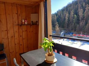 Très agréable 2 pièces au pied des pistes