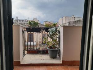 Un passo dal Massimo