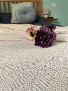 Blue Sardinia house img22