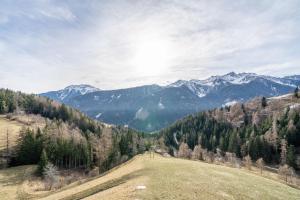 Thalhof Laugen