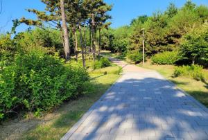 Sensation-나만의영화관,130인치대형스크린,넷플,디즈니플러스,장기숙박추천