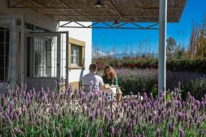 Boutique Vineyard and Wine Lodge - General Ortega