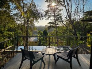 Purapura Santa Teresa