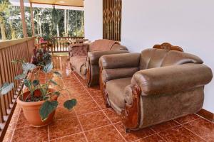 Casa Iris- Home for Family, Steps From the Beach, Pool and Yoga Deck
