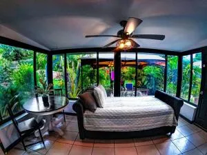 St Pete beach house backyard Jungle Oasis! - St Petersburg