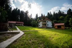 Forest Resort - Brăduţ