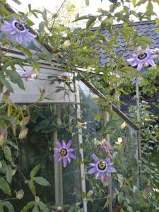 Slapen bij de molenaar