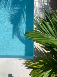 Nakupenda paje villa