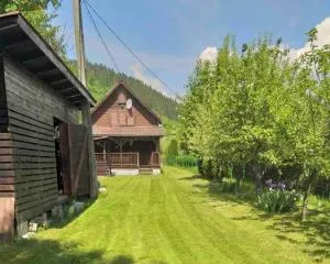 Vacation House Lunca Bradului - Filea