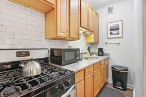 Trendy Studio Apartment in Chicago - Kenwood 103 & 303 rep