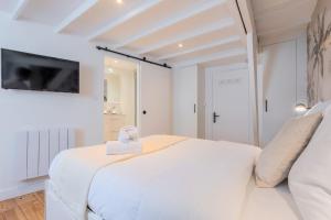 Lille Beaux Arts equipped apartment