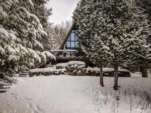 Chalet Skunks - Nominingue