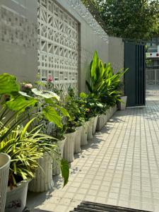 Villa 26-28 Châu Đốc