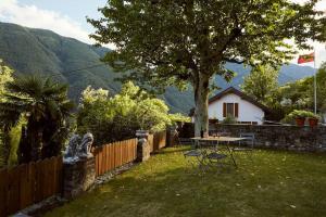 Wild Valley Palm Garden in Valle Onsernone