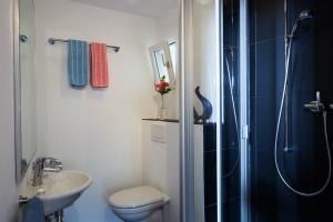 Wild Valley Palm Garden in Valle Onsernone