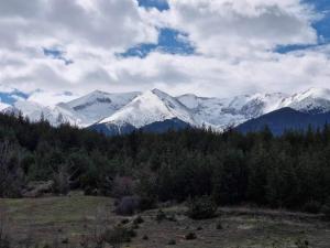 Saint John Hill Apartment